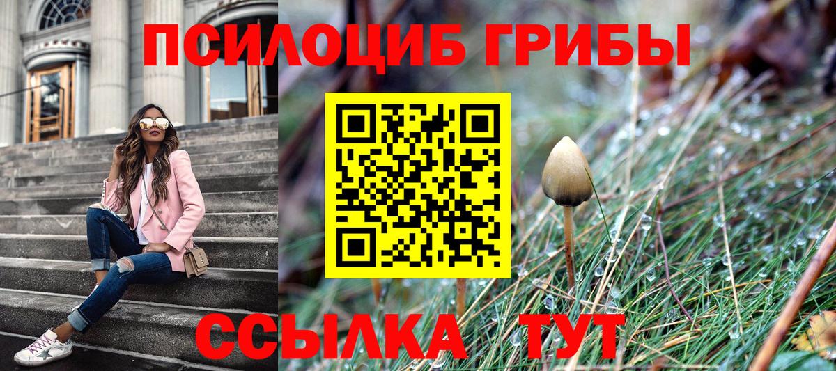 Псилоцибиновые грибы GOLDEN TEACHER Добрянка